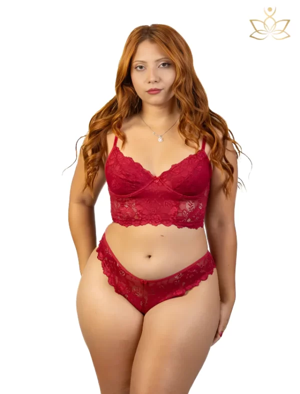 Conjunto Cropped Renda Liz Libido