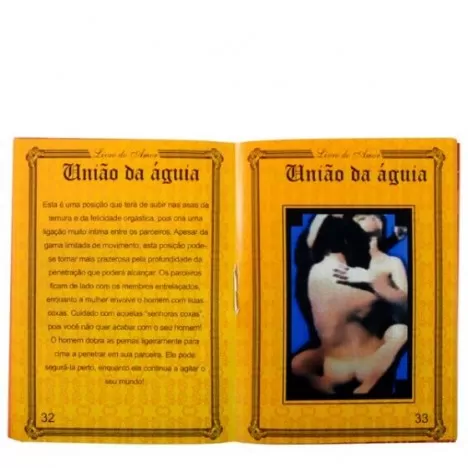 O Livro do Amor Manual do Kama Sutra Ktoy - Imagem 3