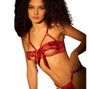 Fantasia Presente Fatal Libido Lingerie
